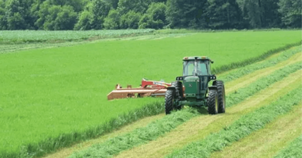 3 Benefits to Managing Your Hayfields Year-Round